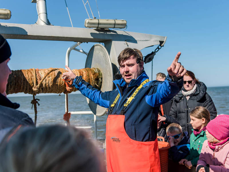 ameland zeehonden tour